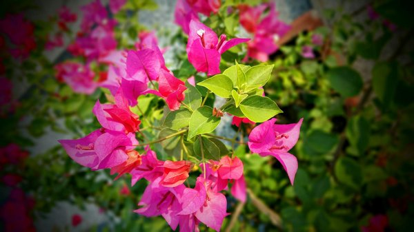 Luminaires Artistiques : Transformer l'Ambiance d'un Espace en Une Expérience Unique et Envoûtante